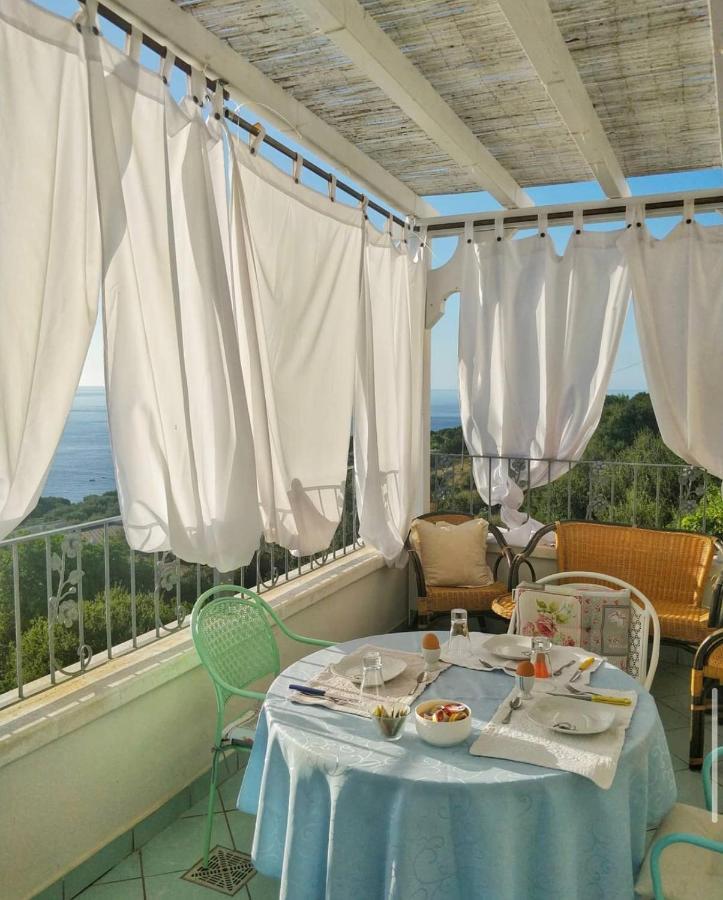 Belvedere Castro  Extérieur photo